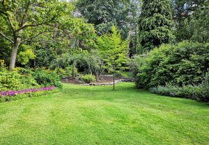 Optimiser l'expérience du jardin à Chailland